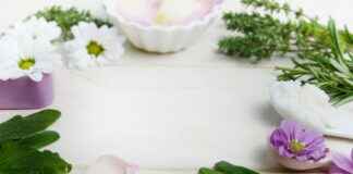 How to Reject Your Obsessive Ex-Husband: A Guide to Protecting Your Peace How to Reject Your Obsessive Ex-Husband: A Guide to Protecting Your Peace