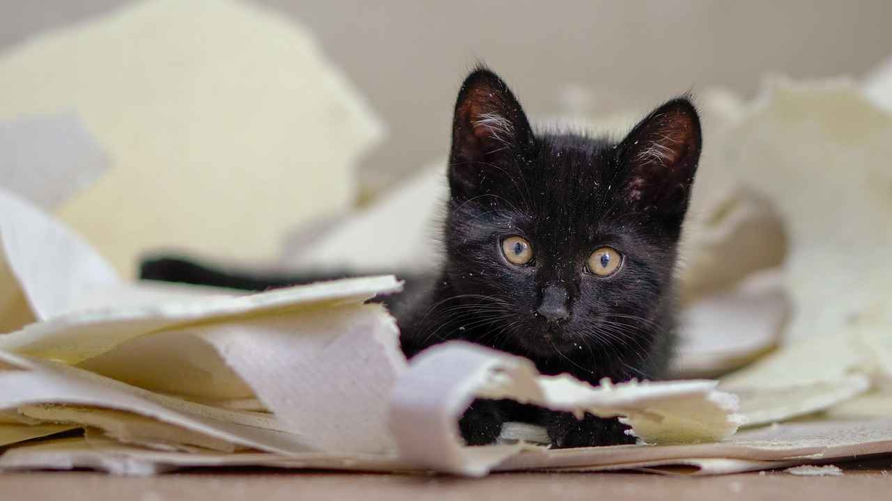 Why is it Important to Remove Fabric Glue?