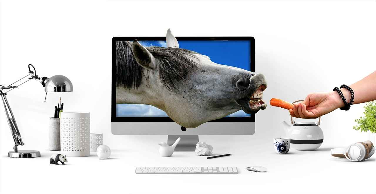 What Causes Mould in Your Car?