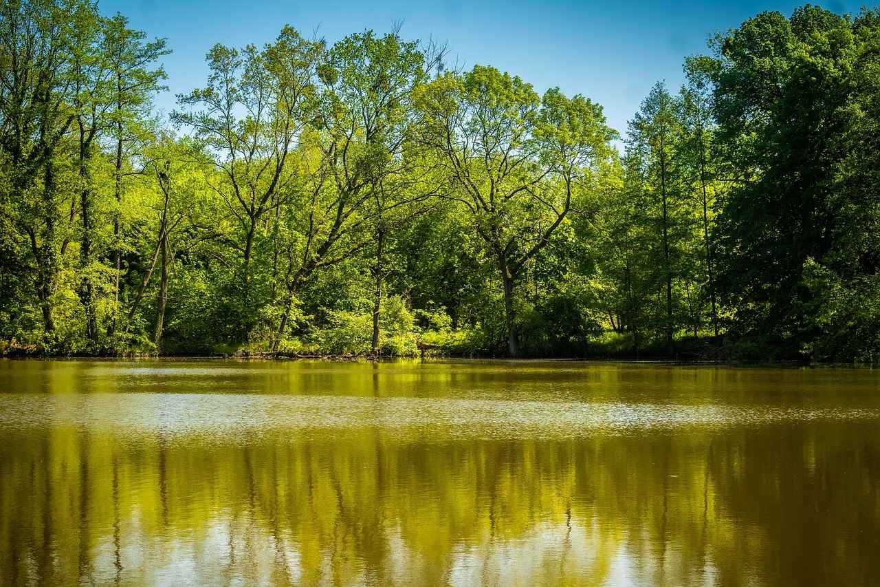 How to Ensure Your Joint Burns Evenly?