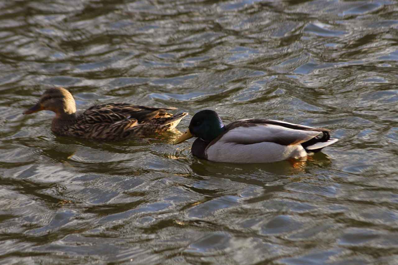How to Store Your Rolled Joints Safely?