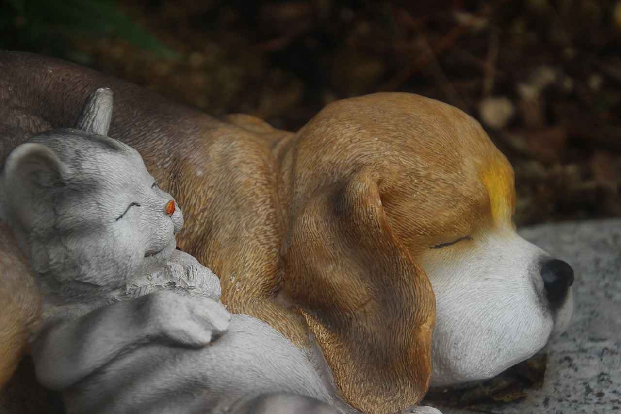 How to Show All DRC in Skipper with Commands: A Guide for Advanced Users 5 Tips for Advanced Users to Optimize DRC Display