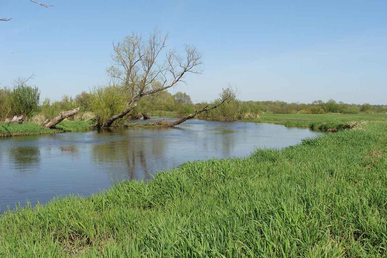 How to Sleep with May-Thurner Syndrome: Tips for Comfort and Health 1 What is May-Thurner Syndrome?