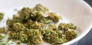 How to Smoke Bubble Hash: Tips for a Smooth Experience How to Smoke Bubble Hash: Tips for a Smooth Experience