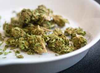 How to Smoke Bubble Hash: Tips for a Smooth Experience How to Smoke Bubble Hash: Tips for a Smooth Experience