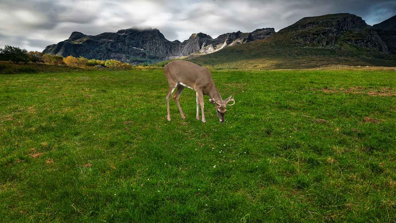 What Role Does Hydration Play in Recovery?