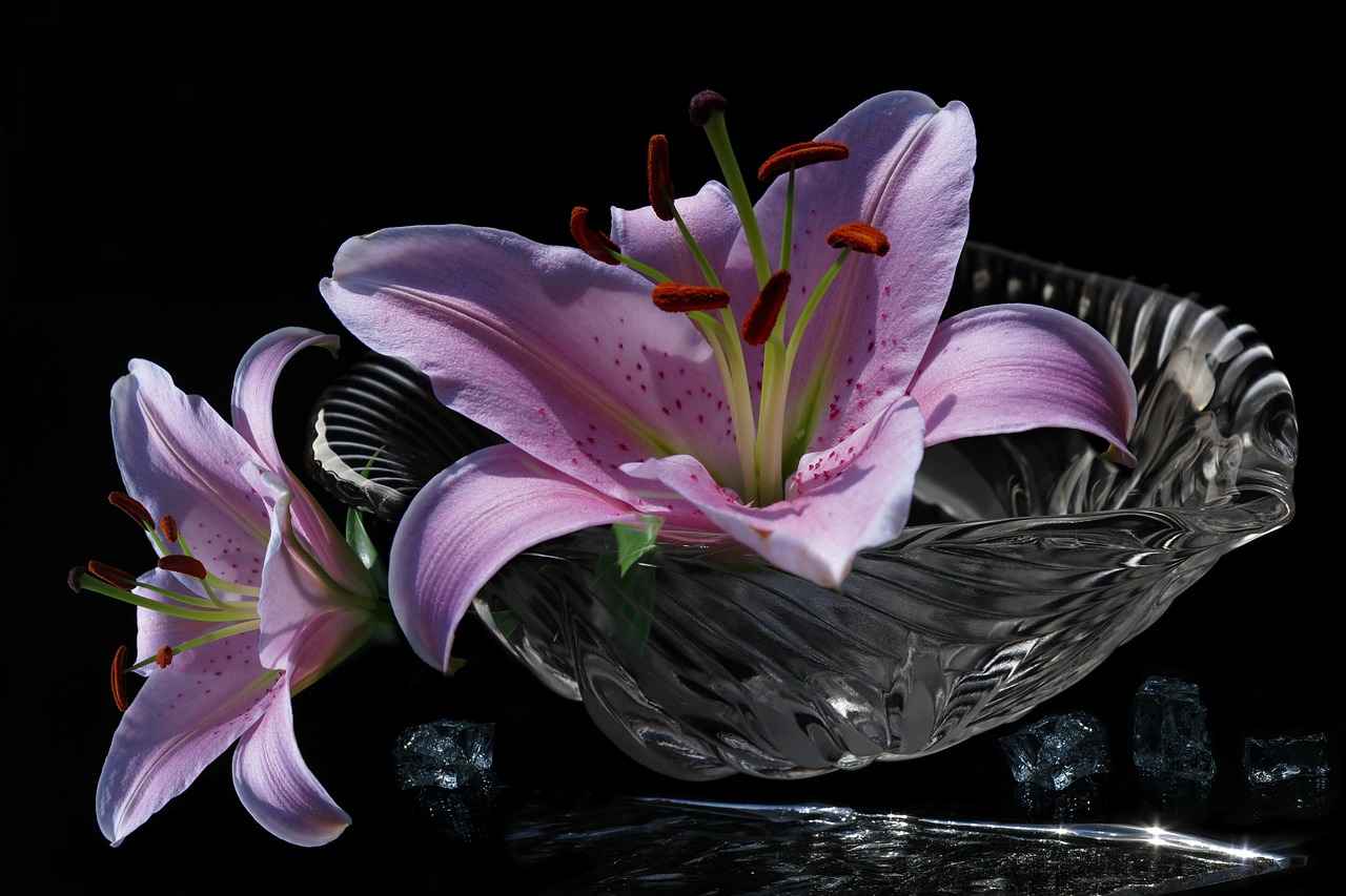 How to Start a Poke Bowl Business: Tips for Success in the Food Industry How to Start a Poke Bowl Business: Tips for Success in the Food Industry