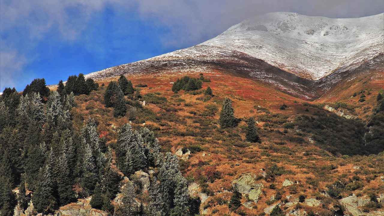 How to Stop Throbbing Pain After a Root Canal: Tips for Quick Relief 4 Long-Term Pain Management Techniques