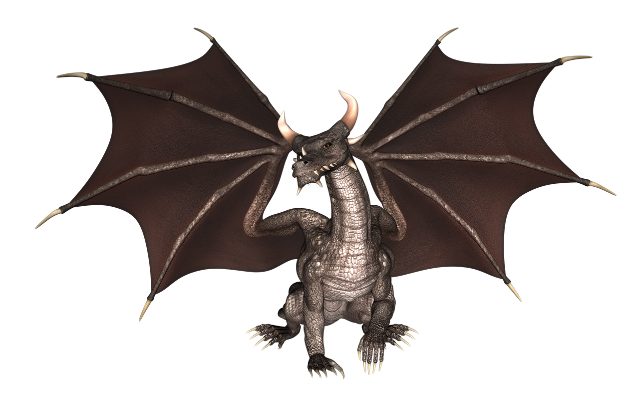 How Can Dragons Navigate Their Physical Health?