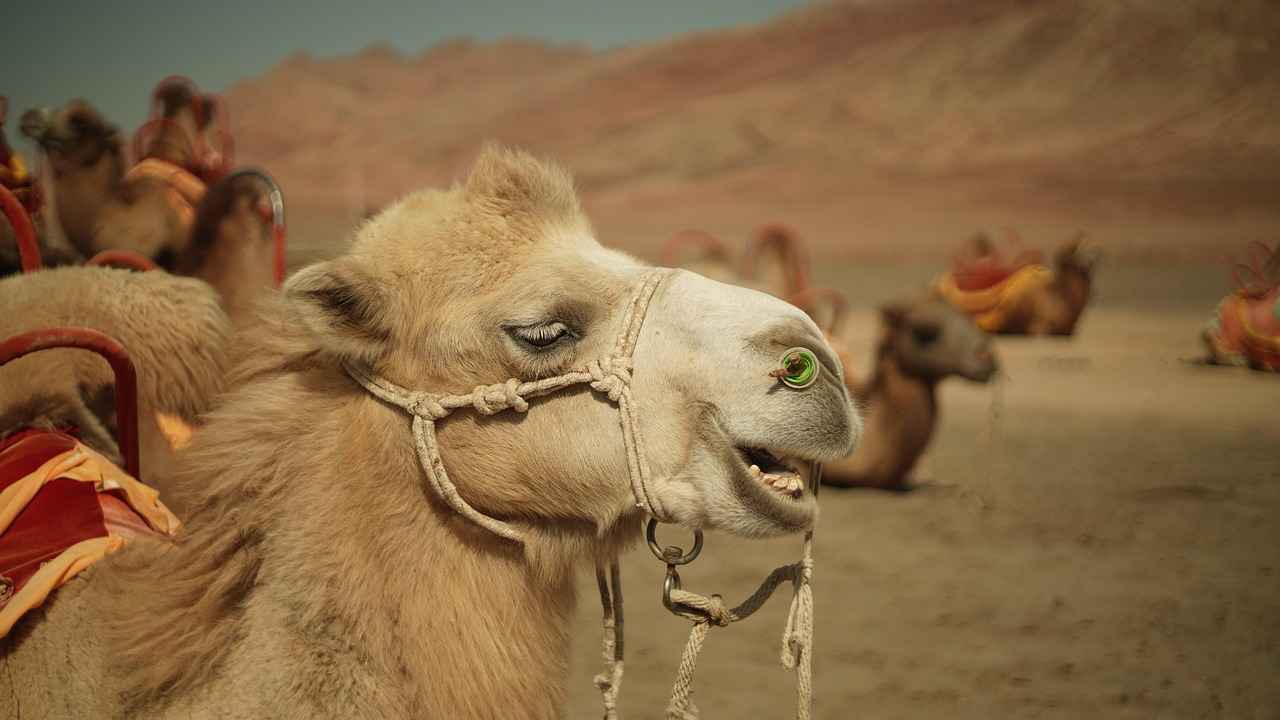 How to Tell if a Contact Lens Is Still in Your Eye: Quick Tips 1 Understanding Contact Lens Discomfort