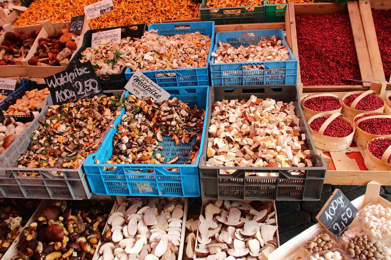 How to Prepare for an Edible Experience?