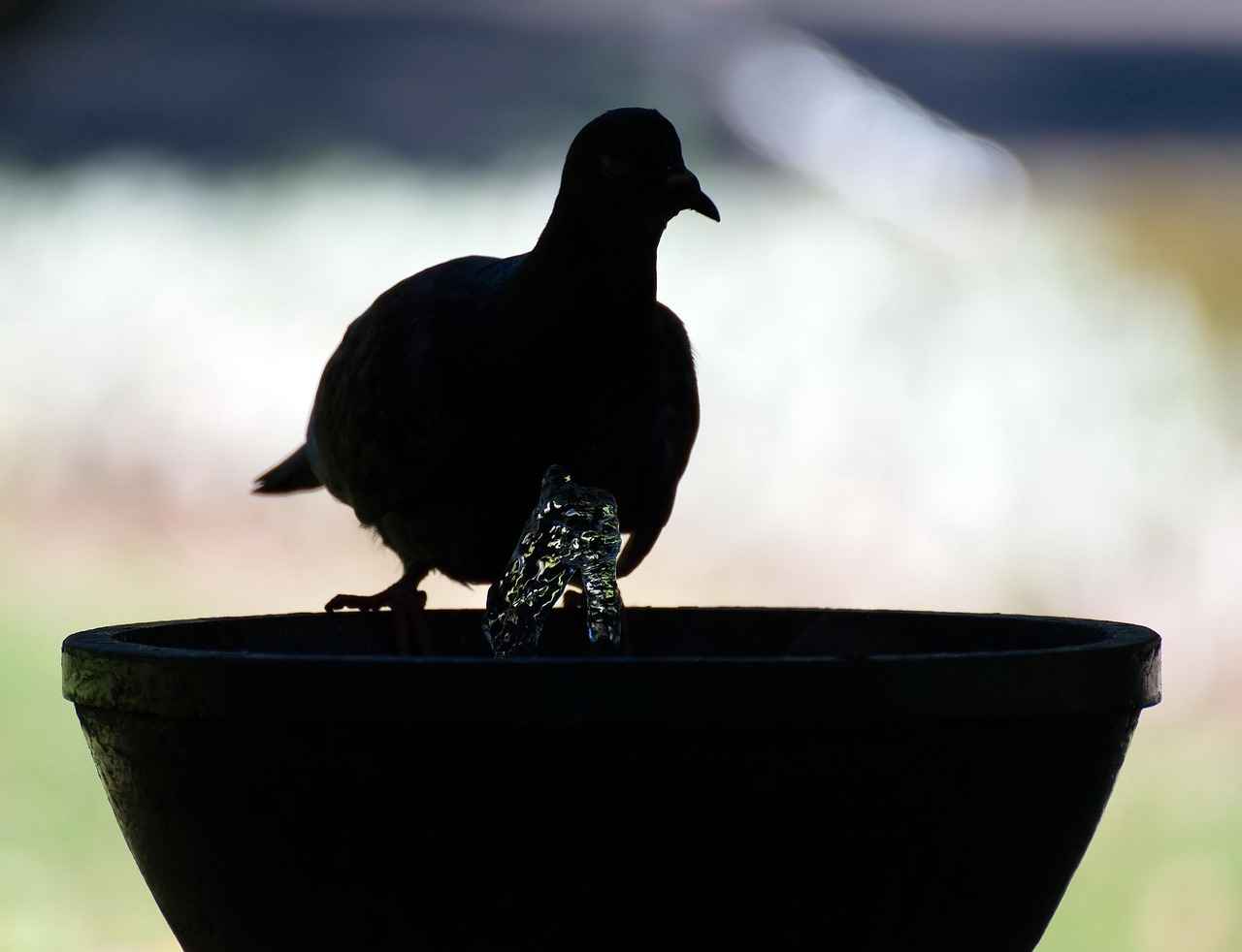 How to Upgrade to a Heat Pump?