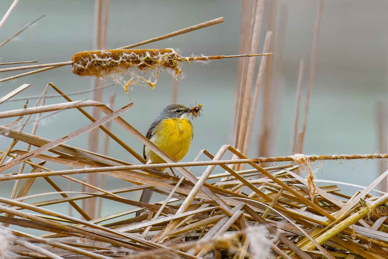 When to Seek Professional Help?