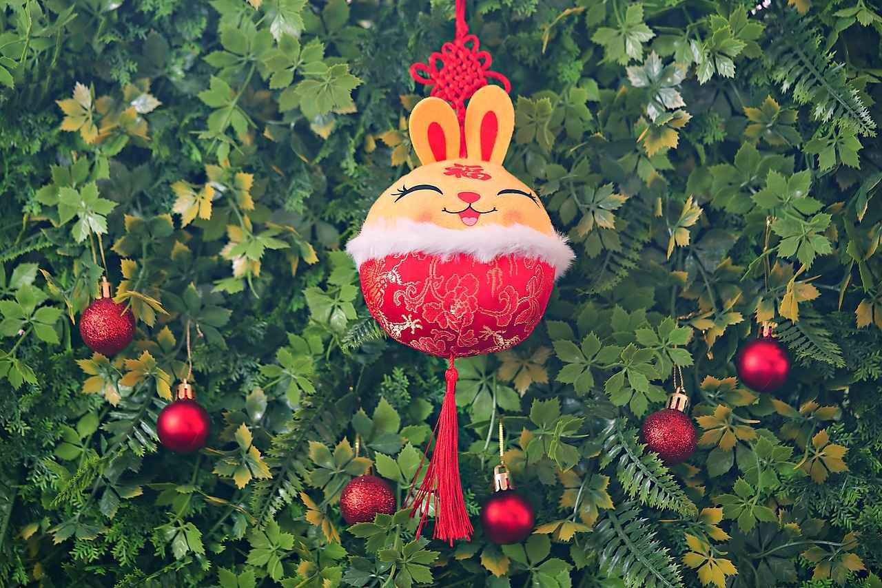 How to Use a Rabbit Vibrator: Enhance Your Experience 3 How to Use a Rabbit Vibrator Effectively?