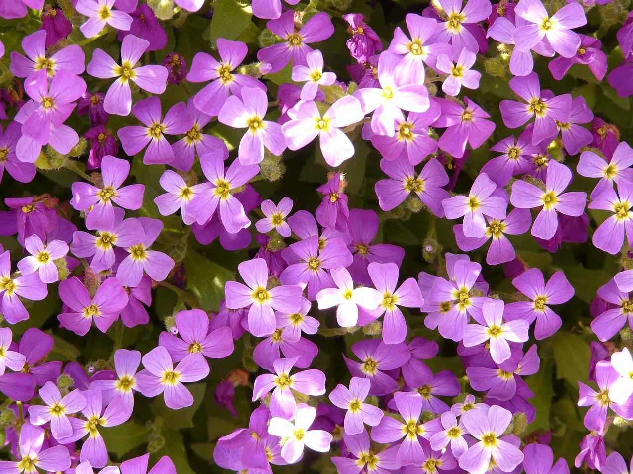 How to Use a Sex Pillow: Positioning Tips for Comfort and Pleasure 1 What is a Sex Pillow and How Can It Enhance Your Experience?