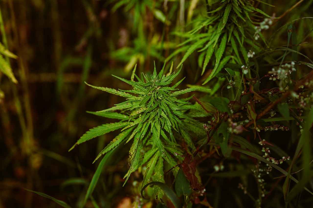 Conclusion: Maximizing Your Grinding Experience