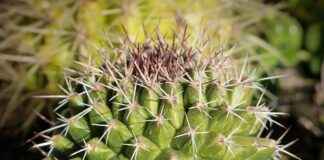 How to Use Geometry Dash API: Unlock New Possibilities How to Use Geometry Dash API: Unlock New Possibilities