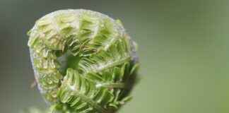 How to Use Morjier255: Expert Tips and Tricks How to Use Morjier255: Expert Tips and Tricks