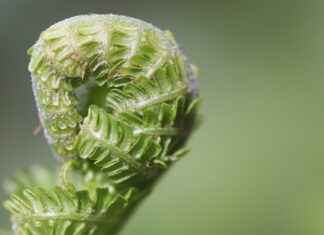 How to Use Morjier255: Expert Tips and Tricks How to Use Morjier255: Expert Tips and Tricks