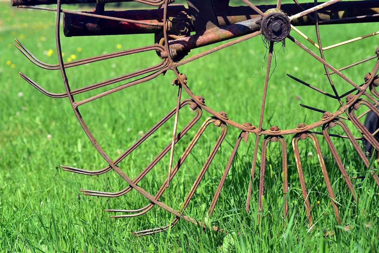 What is YELL51X-OUZ4?