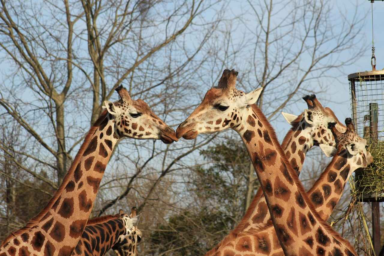 When to Use Abbreviations for Large Numbers?