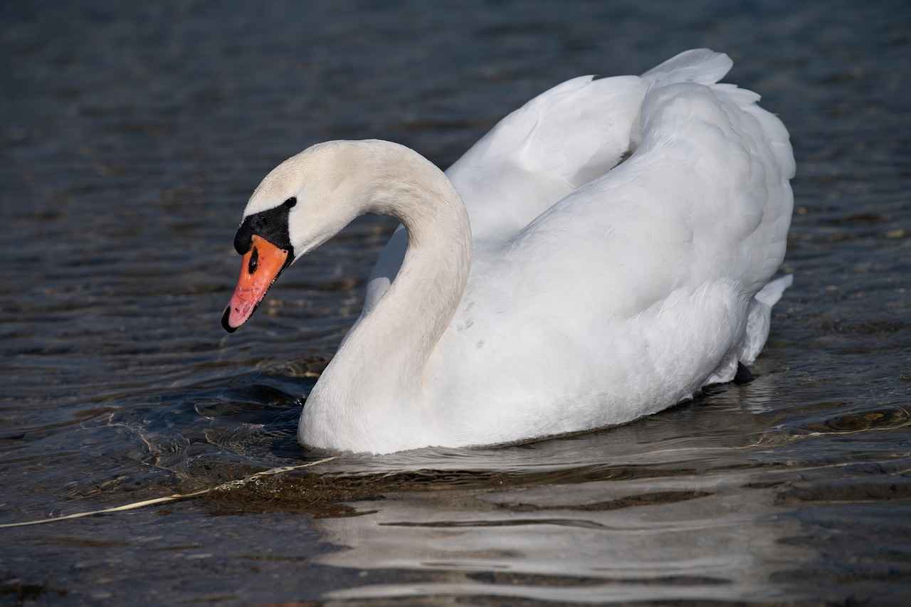 Are There Any Alternatives to Cleaning Crystals?