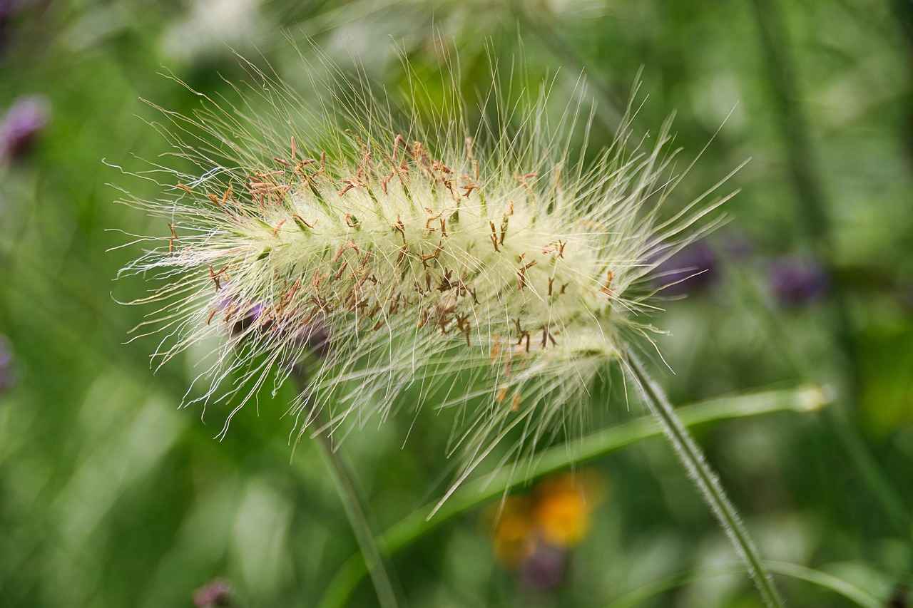 How to Use Invisalign Cleaning Crystals Effectively?