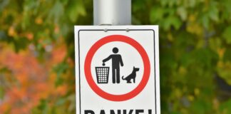 How To Find Area Of A Circle: Easy Tips To Master The Formula