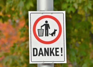 How To Find Area Of A Circle: Easy Tips To Master The Formula