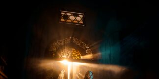 How To Unclog A Toilet Fast: Expert Tips You Need To Know