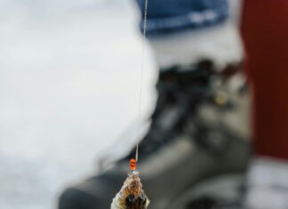 How To Fish Stardew Valley Like A Pro: Ultimate Tips Revealed