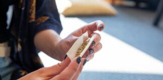 How To Roll A Joint Like A Pro: Expert Tips You Need to Know