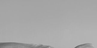 How To Shrink A Shirt Quickly: Proven Tips For Perfect Fit