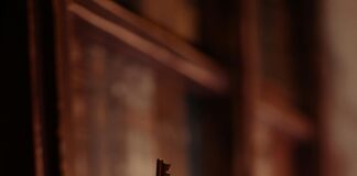 How To Find Neutrons: Unlock The Secrets Of Atomic Science